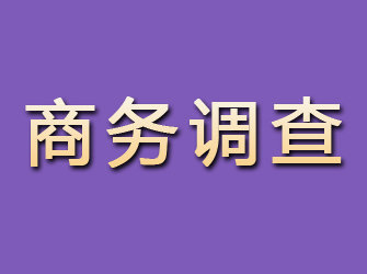 博野商务调查